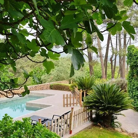 Casa Rural Sierra De Aguafria. Finca El Robledillo Monesterio Exterior photo